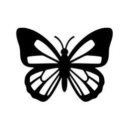 BorboDesign